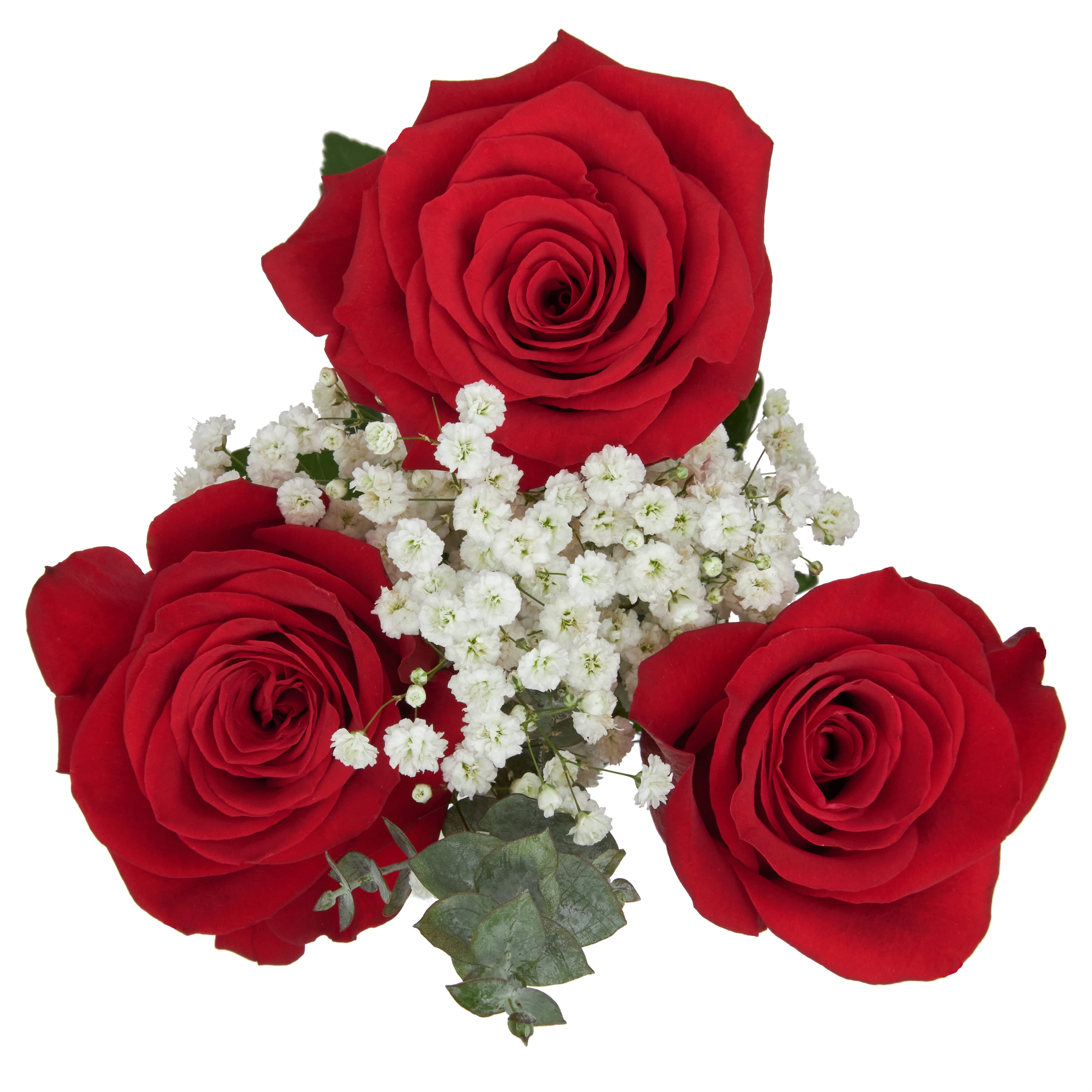 Rose Fresh-Cut Flowers ( 6 Stems ) ( Same Day Delivery Usa )