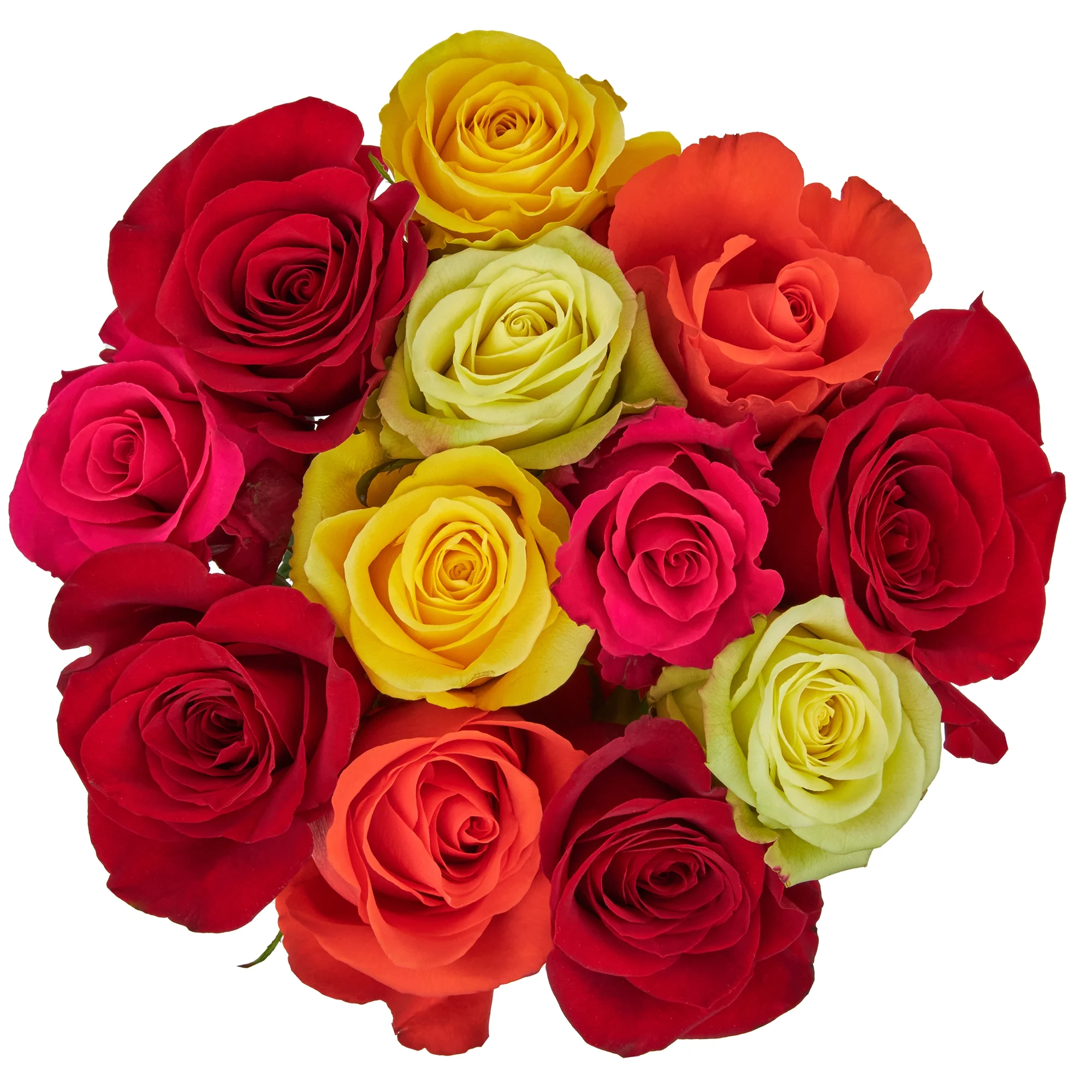 Fresh Cut Dozen Roses ( 12 Stems of Roses ) ( Same Day Delivery Usa )